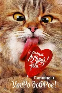 otkrytka-3302.jpg.thumb.webp.e6c43d61c359281c293280c5503e055c.webp