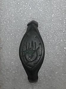 20260502_203401.jpg