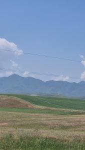 20260613_102631.thumb.jpg.ae81faf822af67a39ce16e4141795391.jpg