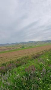 20260620_090940.thumb.jpg.add1cb6c1225b945e75f8f325206c744.jpg
