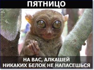 3ca5ba0d53fac6f3374d29e9d8dcdbc3.thumb.jpg.0fb640c2806848a64fd93010b56db6ec.jpg