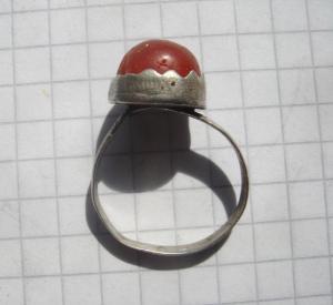 5.thumb.JPG.a9ff9685ec205ef89621a6f74fcc26f3.JPG