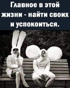 595a322e6f33381b9e760c857f89e8aa.thumb.jpg.54925218e31f52f09fce72a901b474a6.jpg