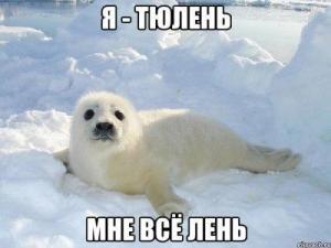 929a65cs-960.thumb.jpg.29f533927d51457a493556b2b39f2922.jpg
