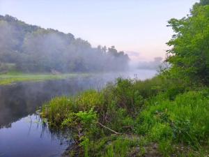 974c9a02-1988-4757-829d-ad5b937a60b1.jpg