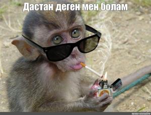 9edc1724d2cdb6b9d075bf630988553a.thumb.jpg.100d4423d497159894c84d72f06309bd.jpg