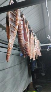 IMG-20260422-WA0022.jpeg