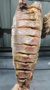 IMG-20260429-WA0030.thumb.jpeg.41c993aca839bc76cf9ef341f3af0987.jpeg