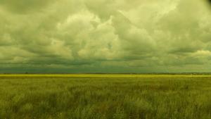 IMG-20260616-WA0030.thumb.jpeg.f6b2238d434991fedc792213e930d95d.jpeg