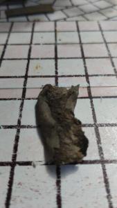 IMG-20260627-WA0011.jpeg
