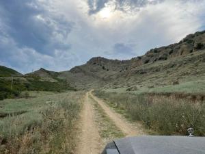 IMG_0593.jpeg