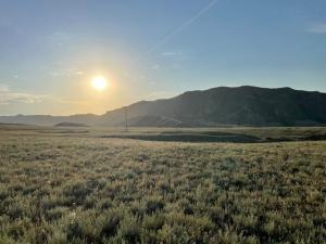 IMG_0597.jpeg