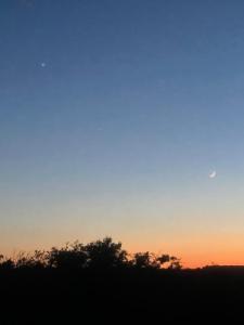IMG_0623.jpeg