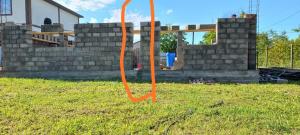 IMG_20260604_142654.jpg