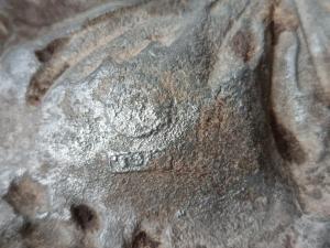 IMG_20260612_163531.jpg