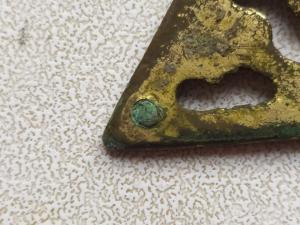 IMG_20260614_152653.jpg