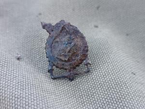 IMG_20260627_181815.jpg