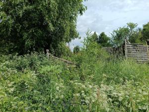 IMG_20260630_145729.jpg