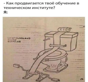 scale_1200 - 2026-06-15T063625.510.png