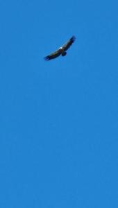 20260712_085139.thumb.jpg.a3b60ee3836f8ddba50ebb558d9b99a8.jpg