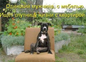 2391555238.thumb.jpg.8542a079c2437a27835a475097bd03fe.jpg