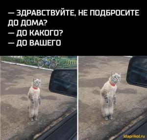 2829861e8a99f898818574b387857f90.thumb.jpg.e5e33fcb0f6599d3957f4f57a73741c5.jpg