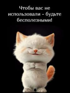 58035445252621a83b167306247cff74.thumb.jpg.888cc137a1485f9f20e55b6c471fe2dc.jpg