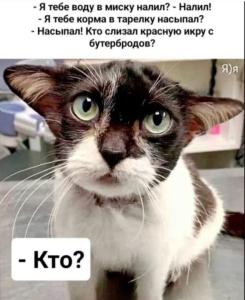 9c9f9d3317c5838b229fdd0df6db6956.thumb.jpg.c221658f5d9dc3be5df0cfcf535fefba.jpg