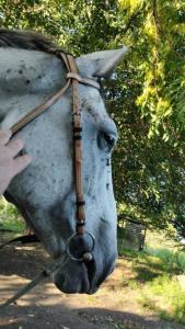 IMG-20240808-WA0250.thumb.jpeg.aa15f9d19b74f667aa8d6fb92b159d8f.jpeg