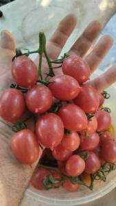 IMG-20250705-WA0120.jpeg