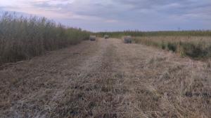 IMG-20250823-WA0163.jpeg