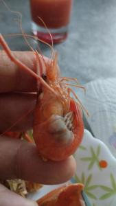 IMG-20250906-WA0044.jpeg