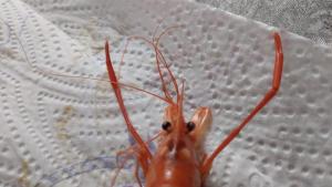 IMG-20250906-WA0046.jpeg