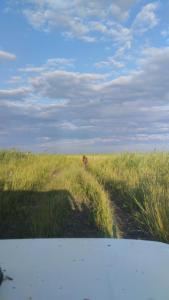 IMG-20260621-WA0025.jpeg