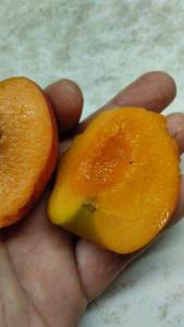 IMG-20260702-WA0014.thumb.jpeg.8ea4cfe462acb205b2695d3f746c9b9f.jpeg