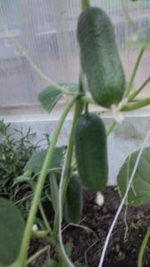 IMG-20260704-WA0070.thumb.jpeg.7b720403b0bfd8d1bd0386c5f206ffa3.jpeg