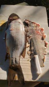 IMG-20260714-WA0005.jpeg