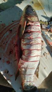 IMG-20260714-WA0009.jpeg
