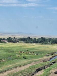 IMG-20260719-WA0027.thumb.jpg.df74ce5b6536060f2da9116dce5e77f0.jpg