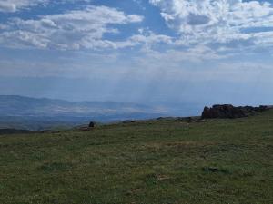 IMG-20260719-WA0057.thumb.jpg.308c52cec7c10c76f748d04b2d5af5bb.jpg