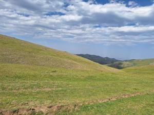 IMG-20260719-WA0082.thumb.jpg.886c7154ccacea95f0419f5545ebfffd.jpg