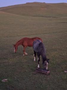 IMG-20260719-WA0185.thumb.jpg.bde00a0b3ef3292cab52efbcb566bdd0.jpg