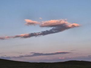 IMG-20260719-WA0266.thumb.jpg.8106585eb2b7b02781cec73a8fe977ea.jpg