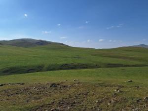 IMG-20260719-WA0312.thumb.jpg.fbf192fd6a2c6895eecb8aa111f8a326.jpg
