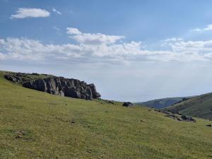 IMG-20260719-WA0324.thumb.jpg.52874050a6d306244c5116f5be62f8e0.jpg