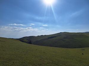 IMG-20260719-WA0330.thumb.jpg.6f2c455a0b61cb2d1fa8c6089051a0a5.jpg