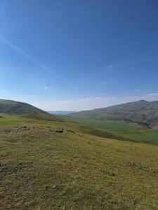 IMG-20260719-WA0342.thumb.jpg.9b24d1038c3e6c7a5d76ba2fc60e1dfd.jpg
