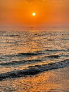 IMG_0874.jpeg