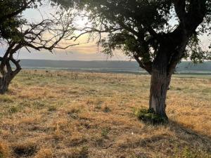 IMG_0902.jpeg