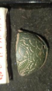 IMG_20260710_151453.jpg